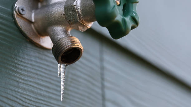 Best Drain Cleaning Services  in Wellsville, OH